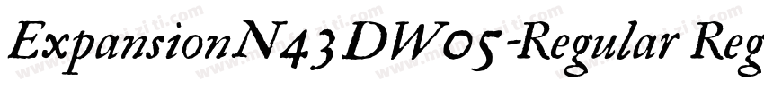 ExpansionN43DW05-Regular Regula字体转换